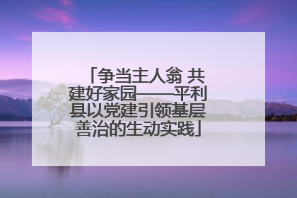 争当主人翁 共建好家园——平利县以党建引领基层善治的生动实践